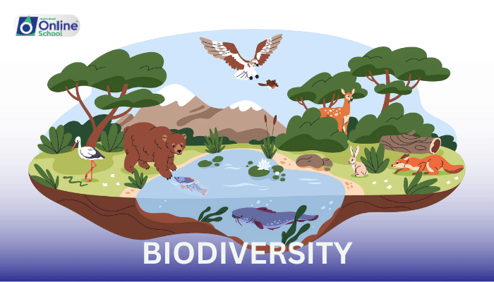 Lesson 01: Biodiversity